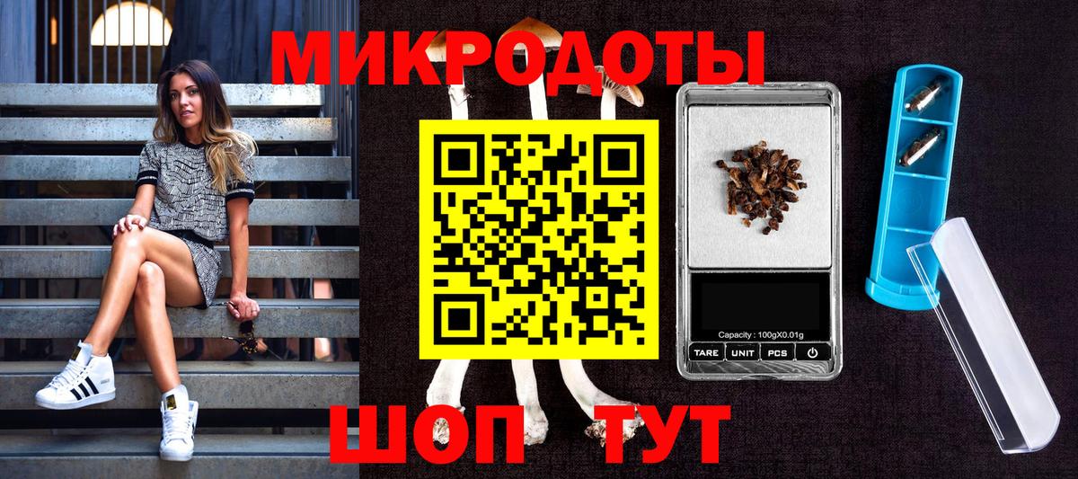 Россия  Псилоцибиновые грибы мицелий  Вход с VPN 