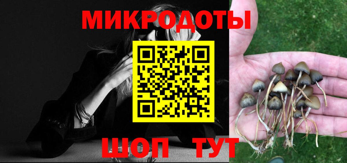 Галлюциногенные грибы GOLDEN TEACHER Россия