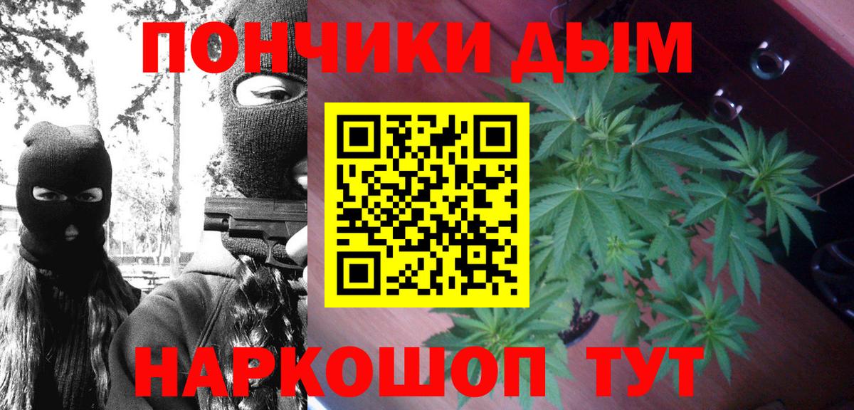 Марихуана конопля Россия
